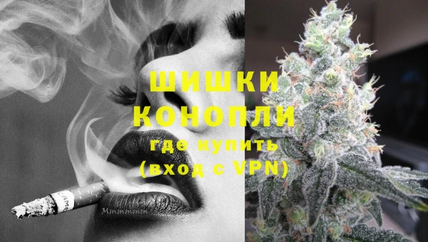 дживик Липки