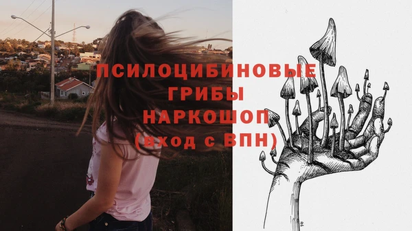 spice Лабытнанги