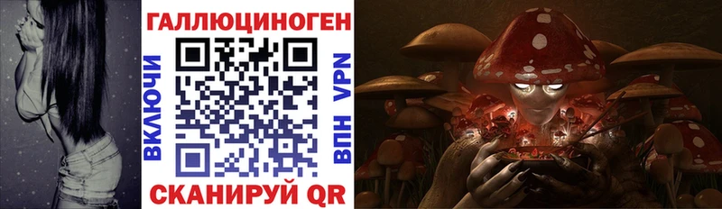 blacksprut рабочий сайт Медвежьегорск Галлюциногенные грибы мухоморы